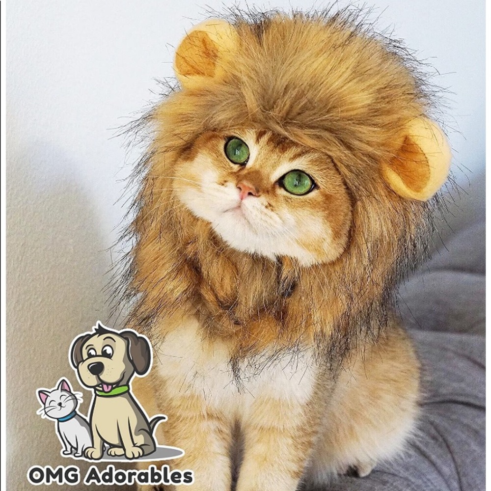 Bundle & Save!!!!! - image 1